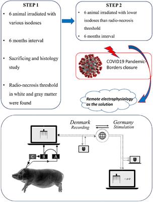 A Perspective of International Collaboration Through Web-Based Telecommunication–Inspired by COVID-19 Crisis